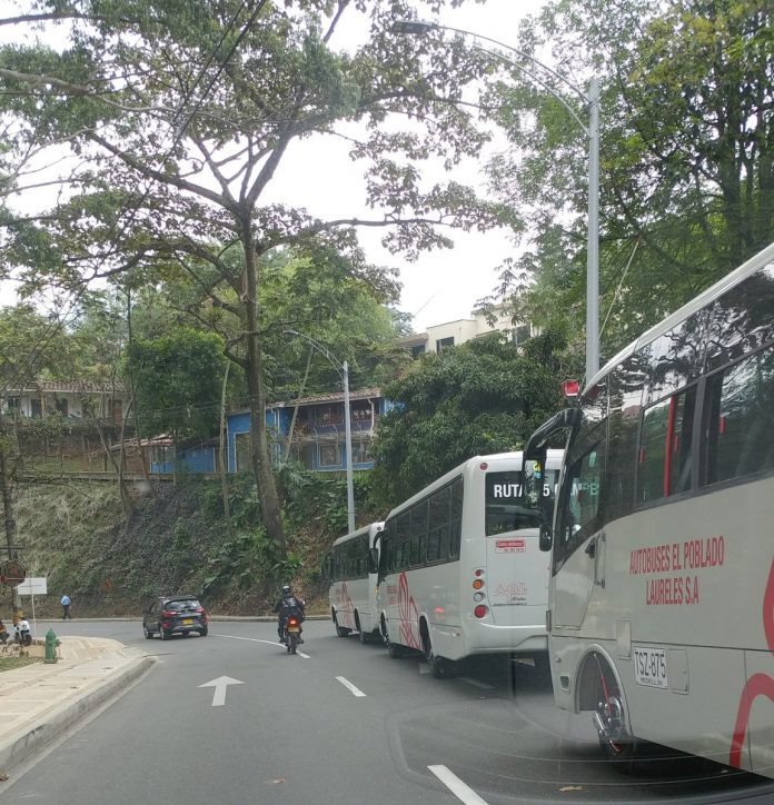 buses-san-lucas