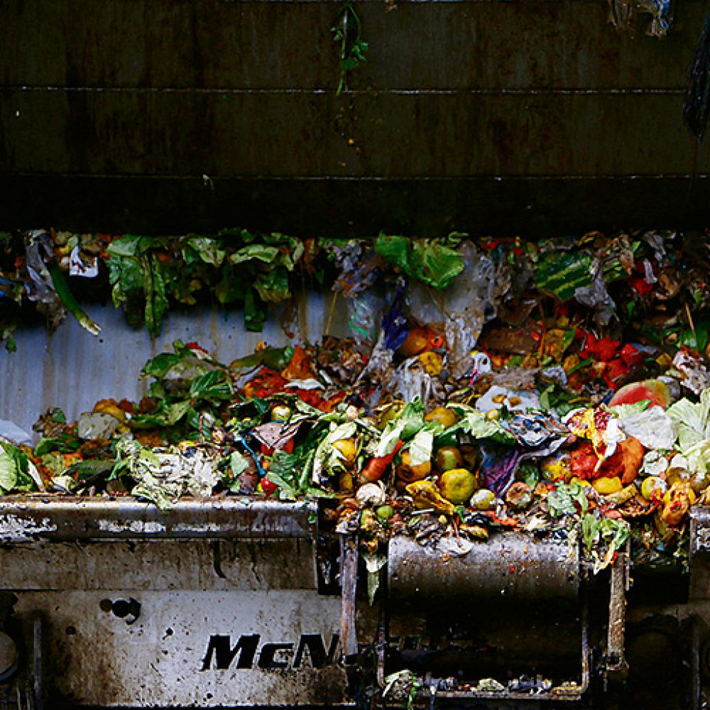 Pérdida de comida