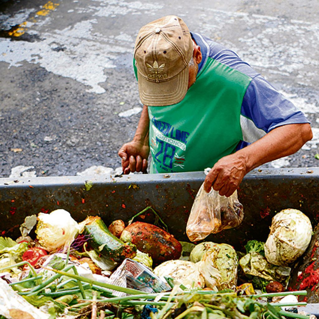 Desperdicio de alimentos