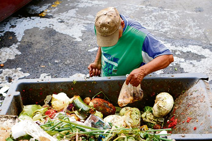 Desperdicio de alimentos Desperdicio de alimentos