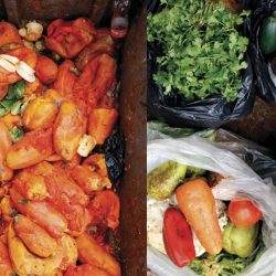 hambre en el mundo