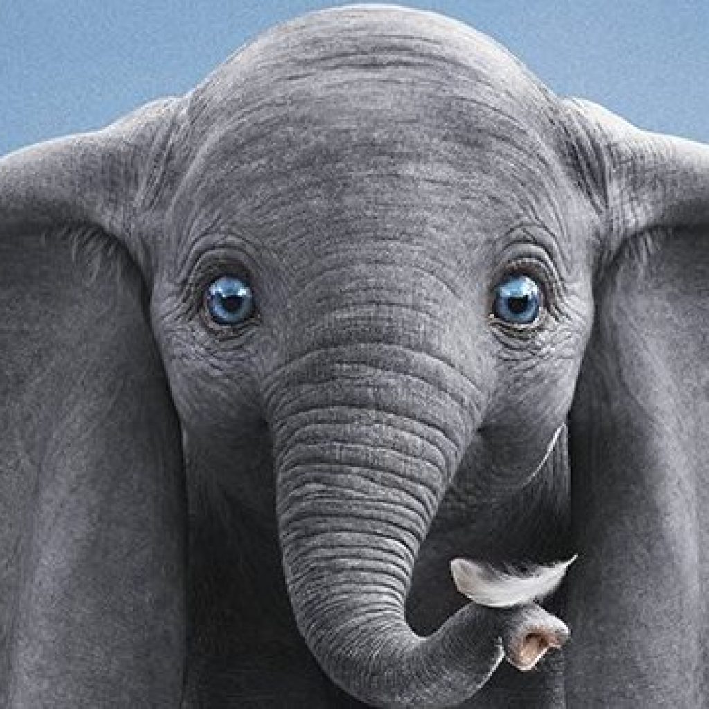 Dumbo