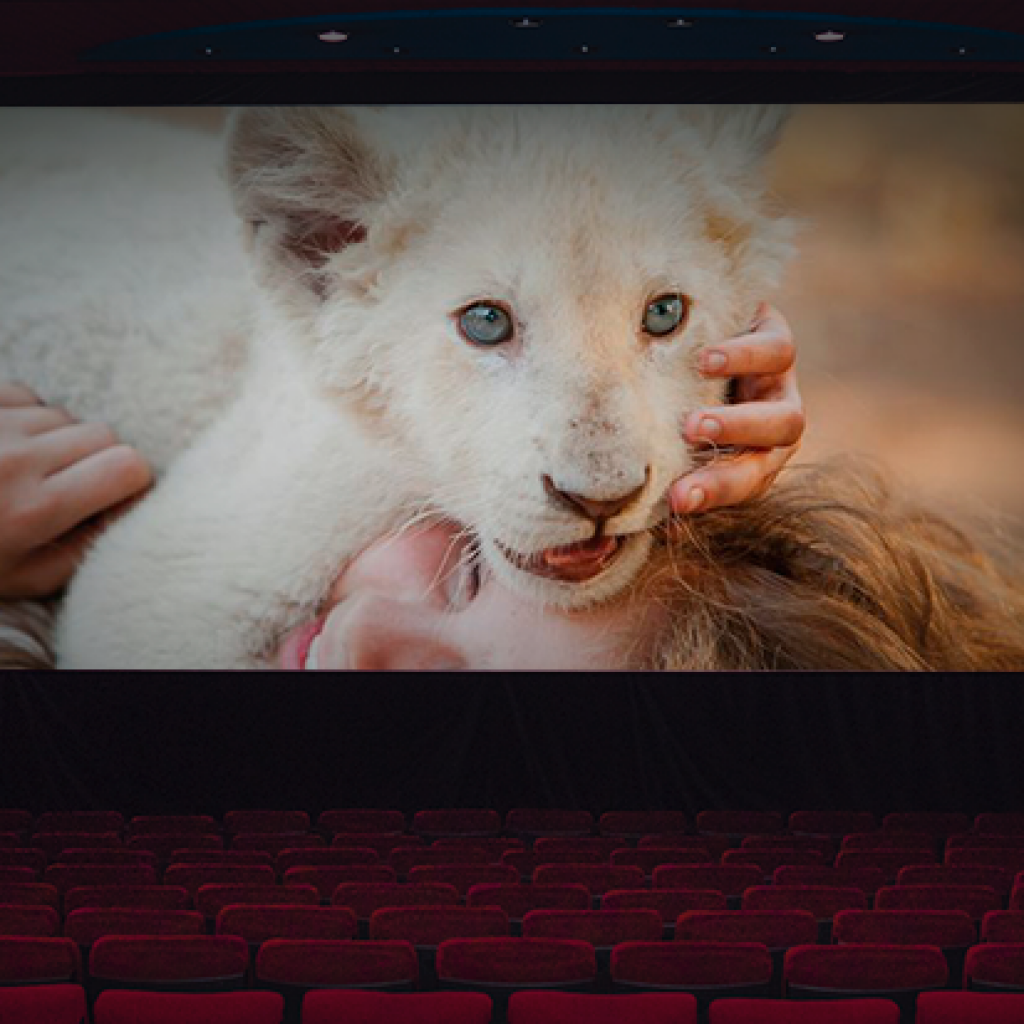 Cartelera de cine en Medellín, estrenos semana del 10 de enero