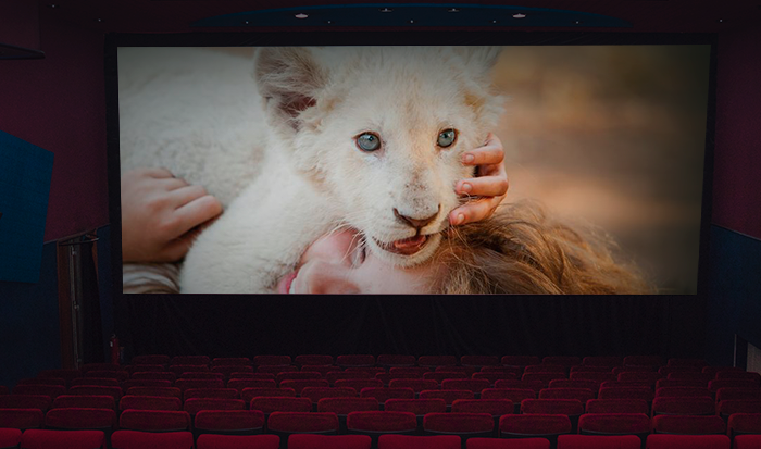 Cartelera de cine en Medellín, estrenos semana del 10 de enero