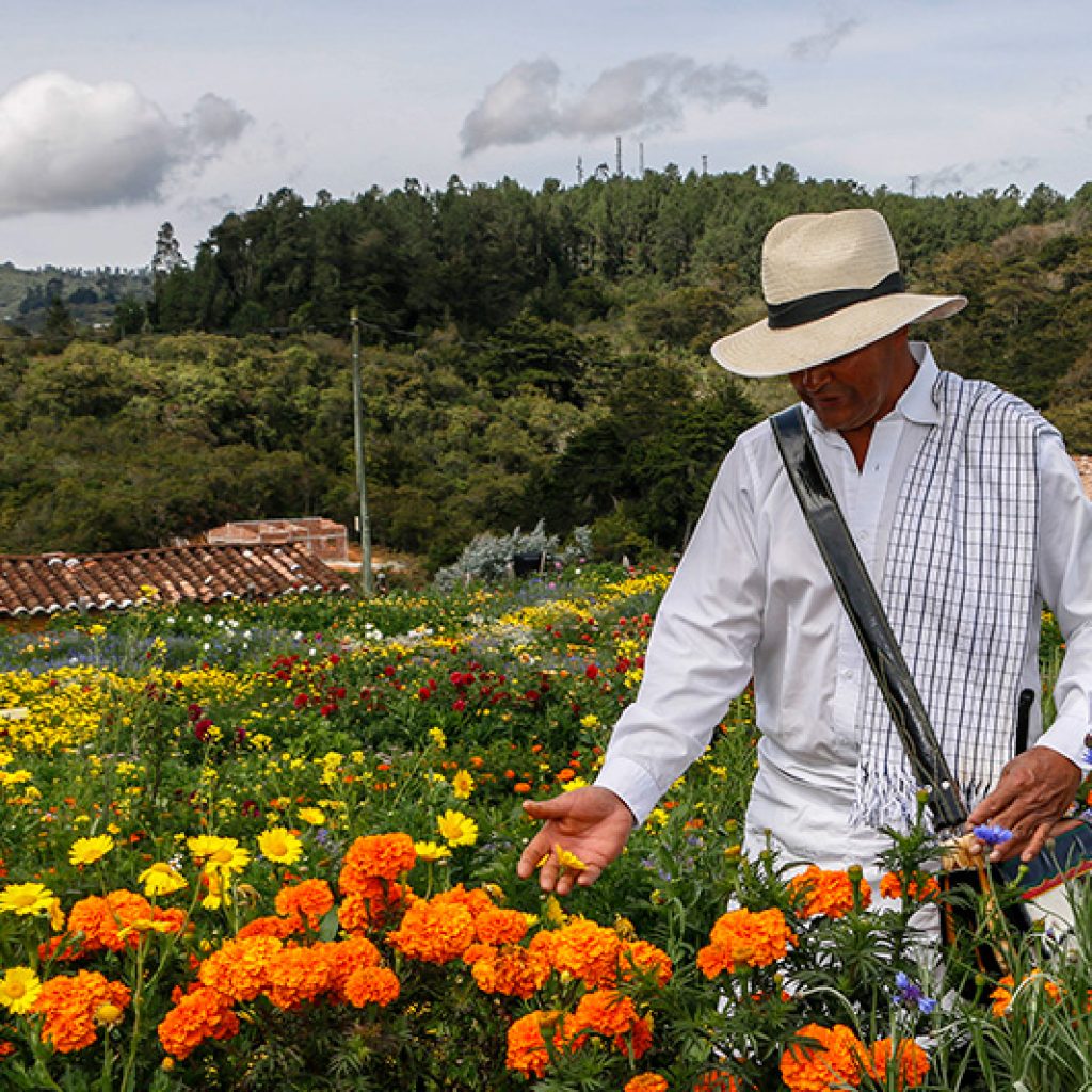 Feria de las Flores medellin