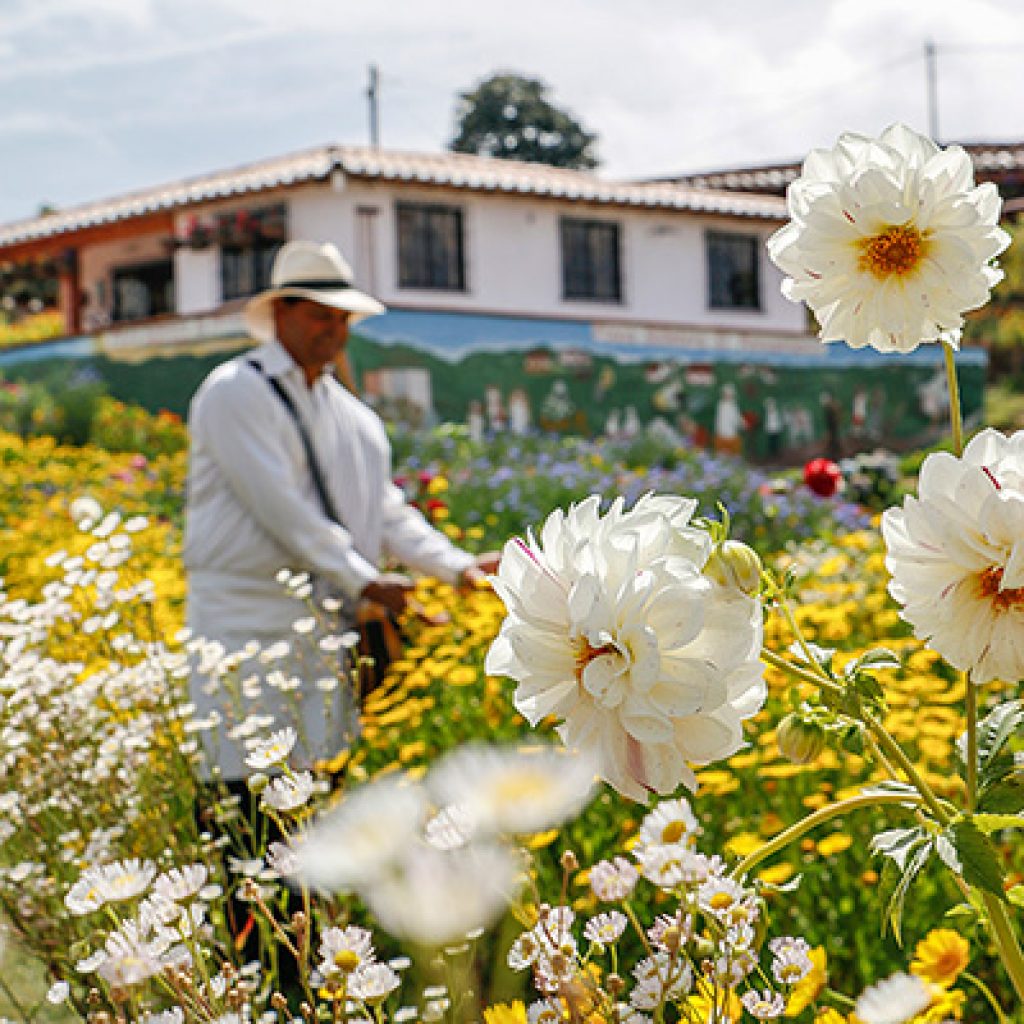 Silletero Feria de Flores Medellín
