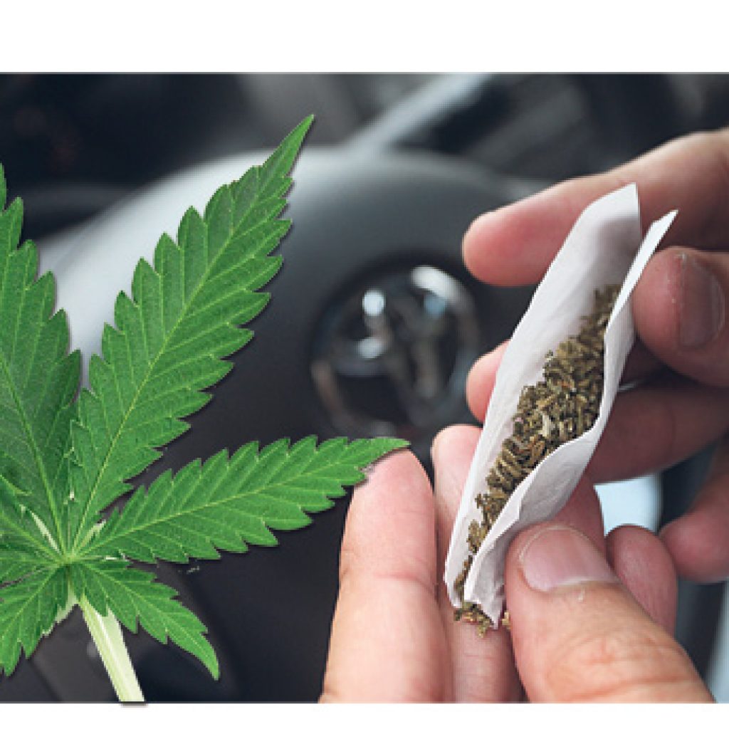 La marihuana, entre mitos y realidades