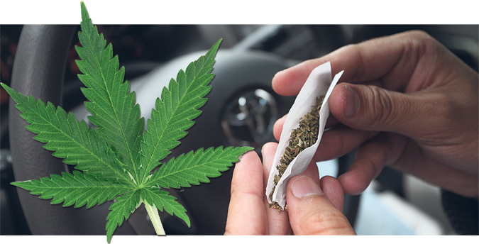 La marihuana, entre mitos y realidades