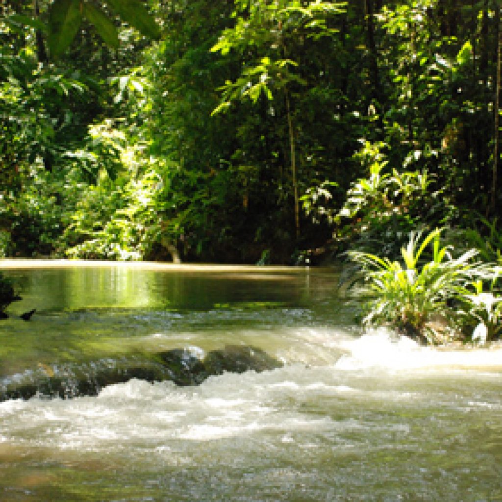 santuarios de biodiversidad