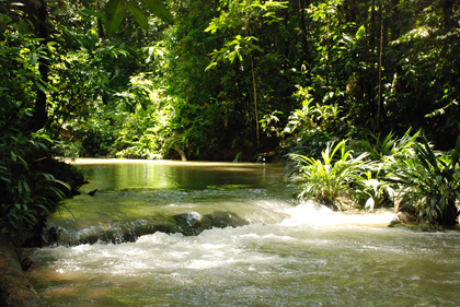 santuarios de biodiversidad