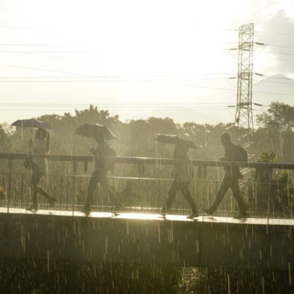 Probabilidad de lluvia