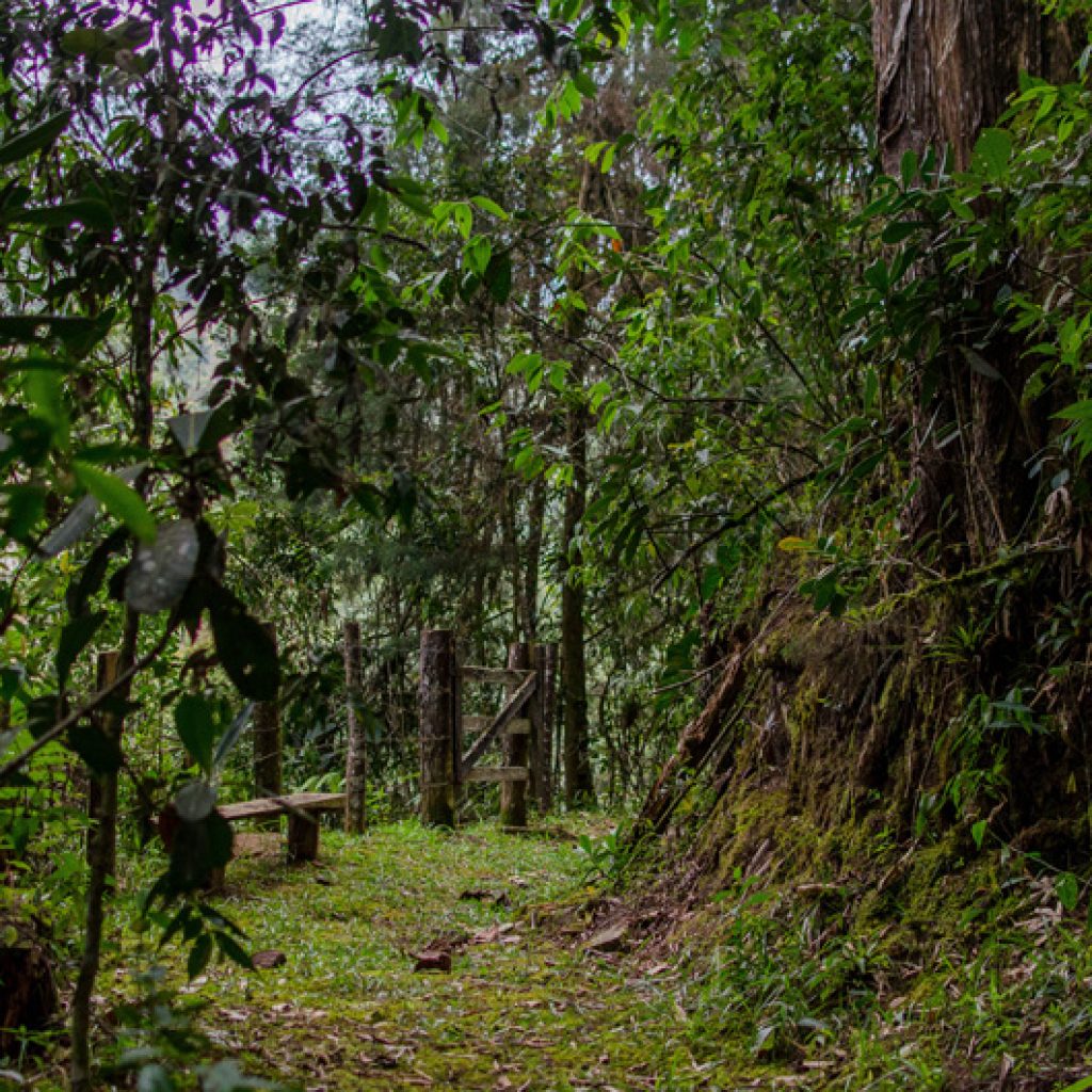 Madremonte, tras los bosques del Oriente Antioqueño