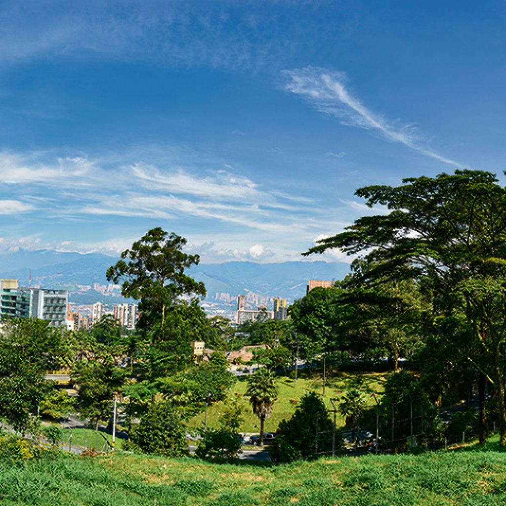 Medio ambiente