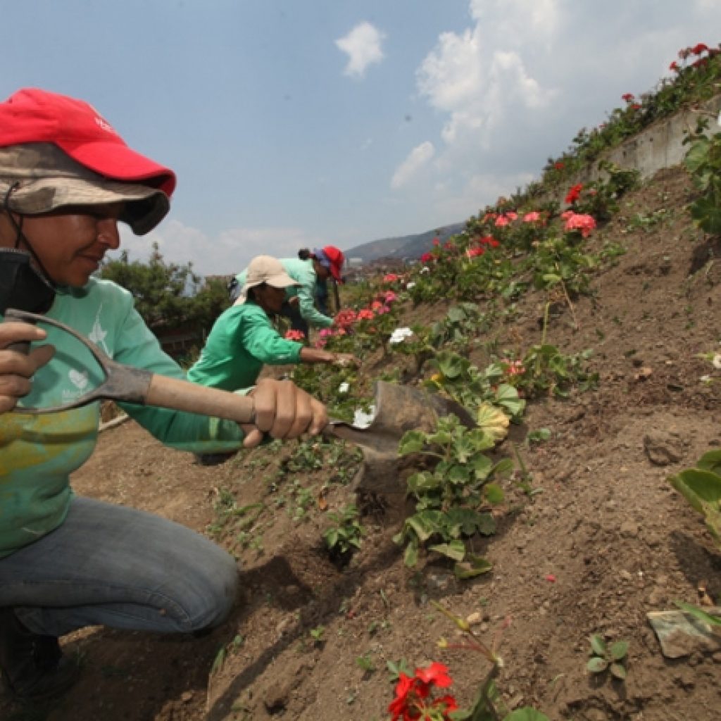 Moravia florece para la vida