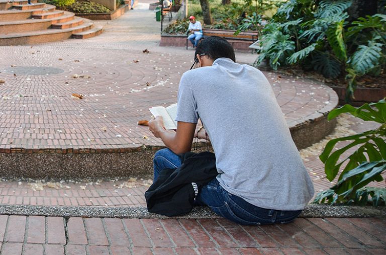 En parque dotado con wifi, se leen libros físicos