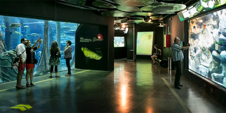 Parque Explora