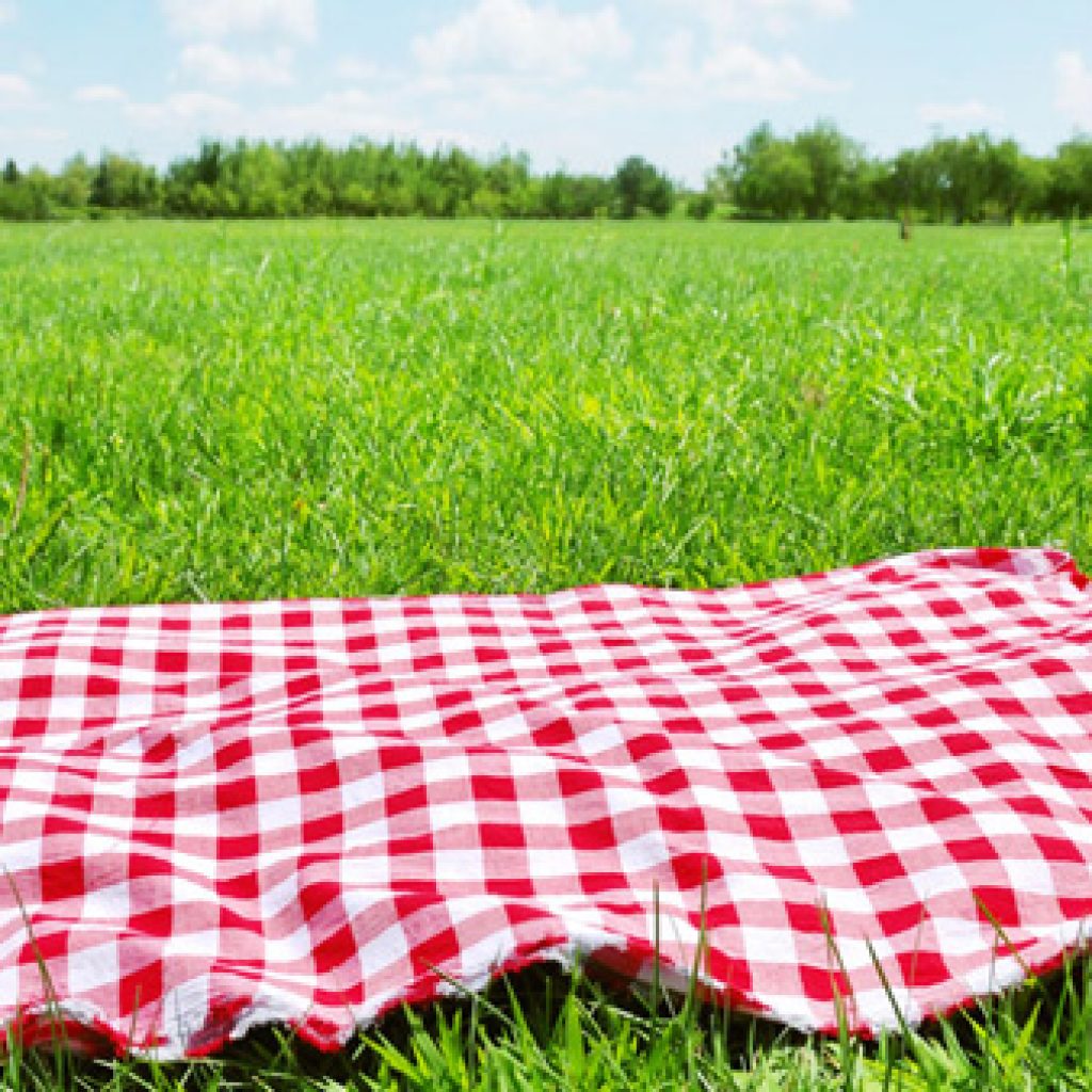 Picnic en Medellín