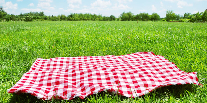 Picnic en Medellín