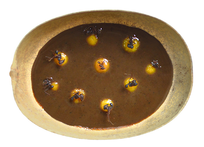 Receta Ají Tucupí blanco