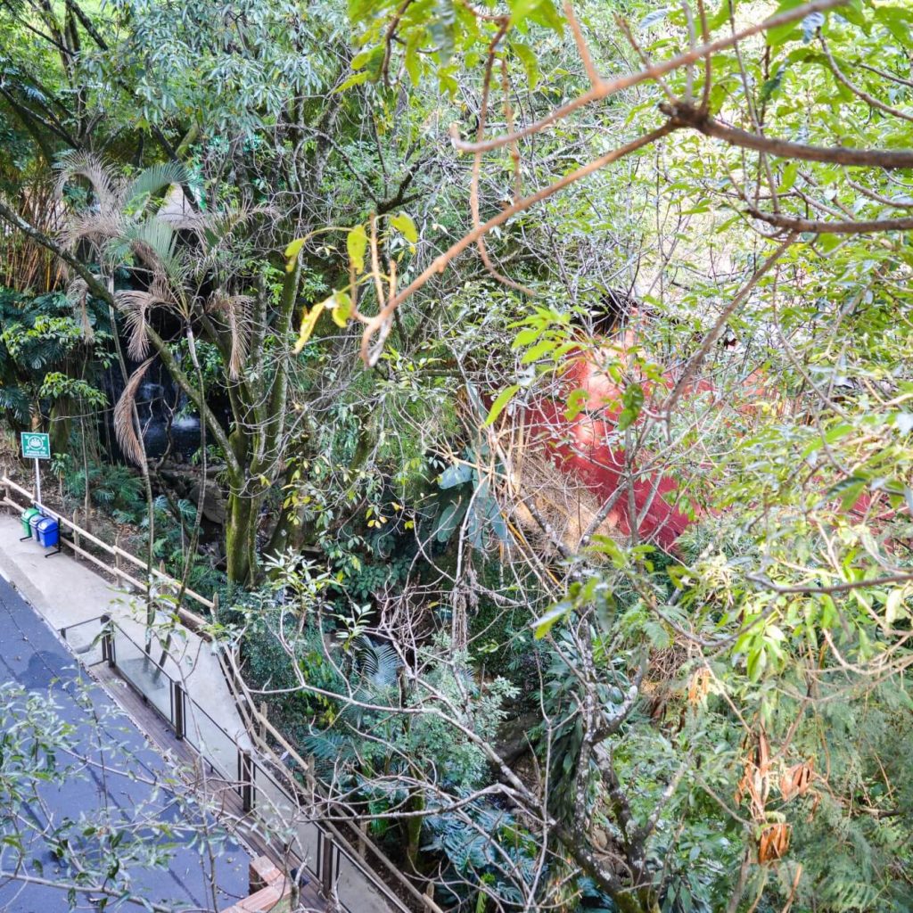 quebrada La Presidenta