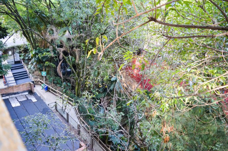 Pasaje peatonal de la quebrada La Presidenta fue recuperado