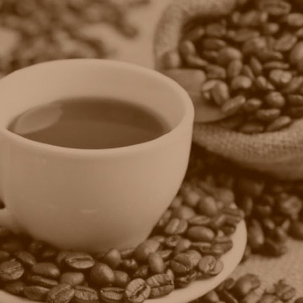 tbt Enamorados del café