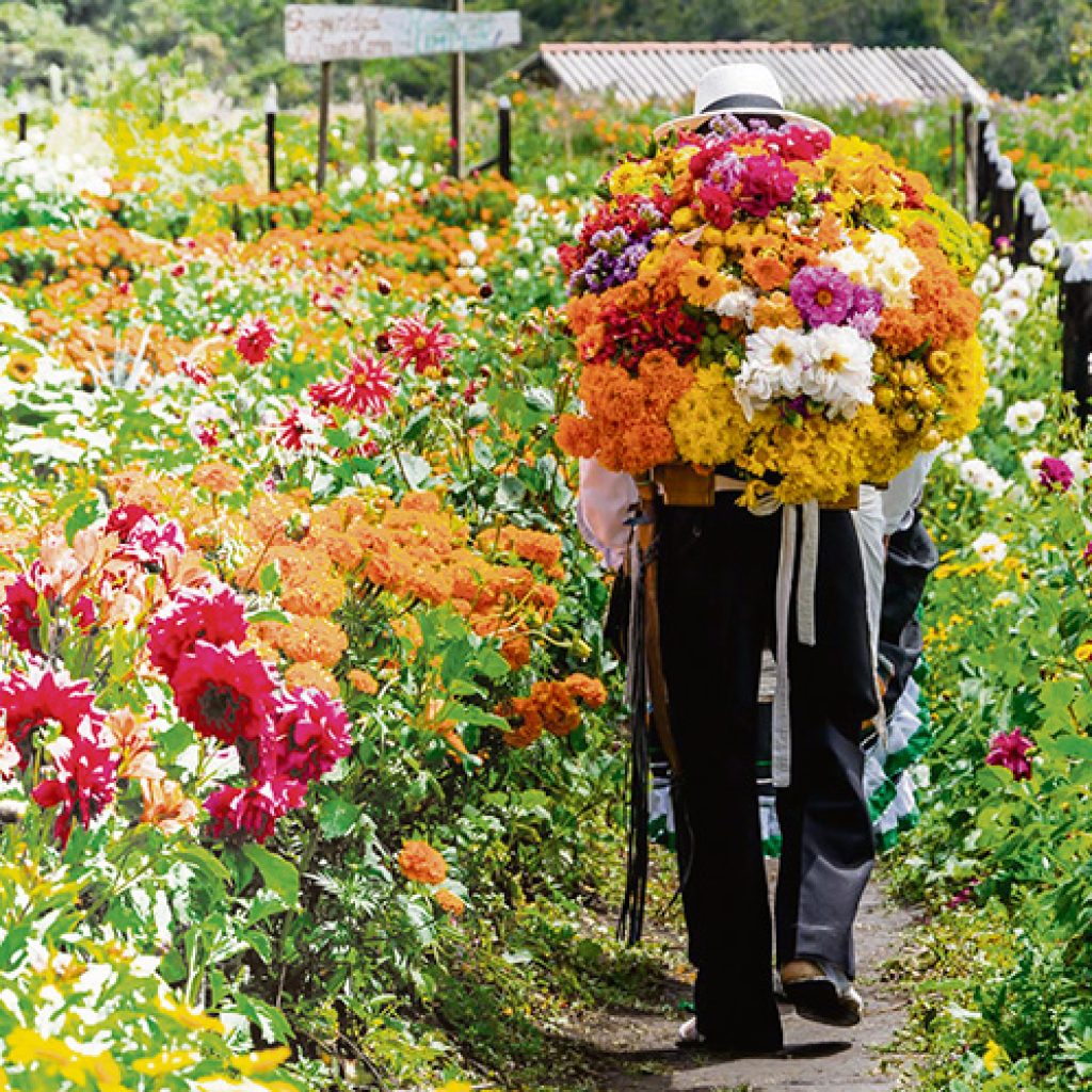 Feria de Flores Medellín