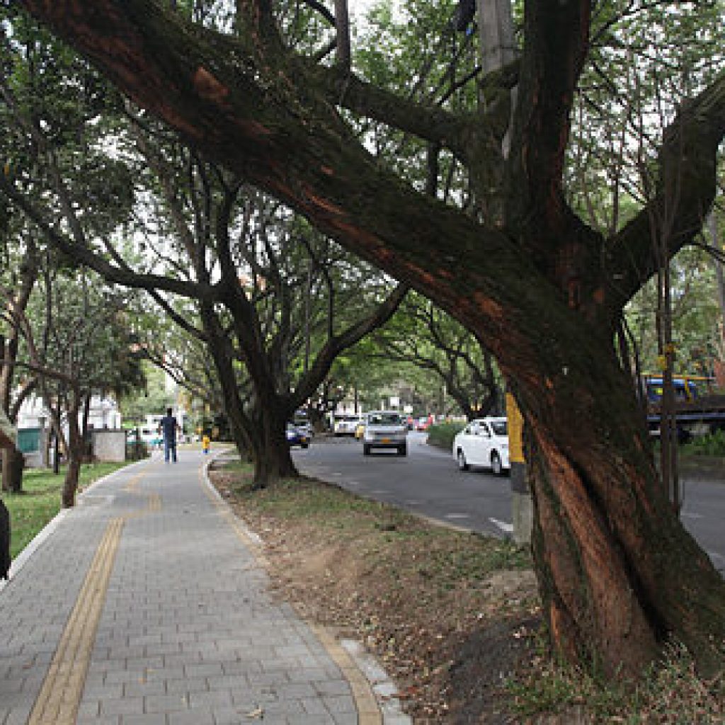 Túnel Verde