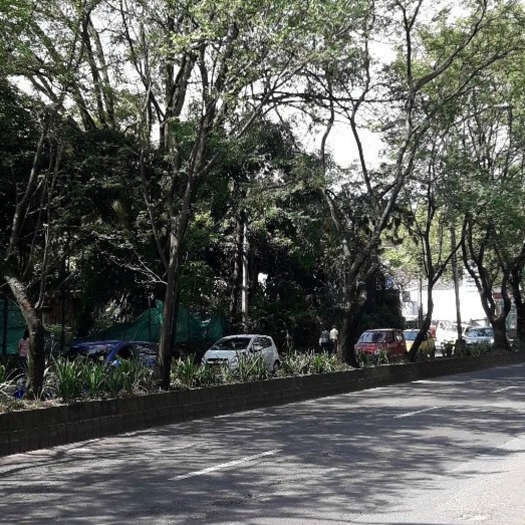 Túnel Verde