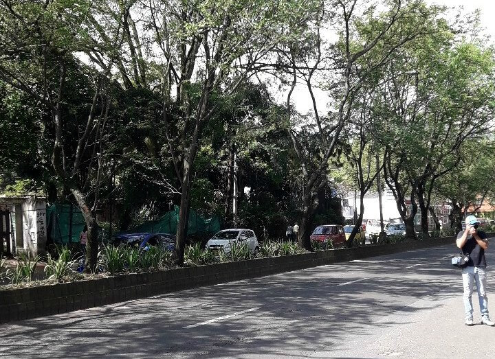 Túnel Verde