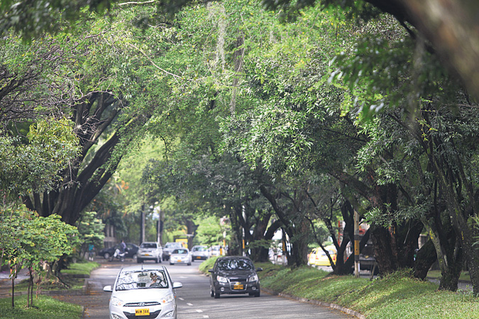 Túnel Verde