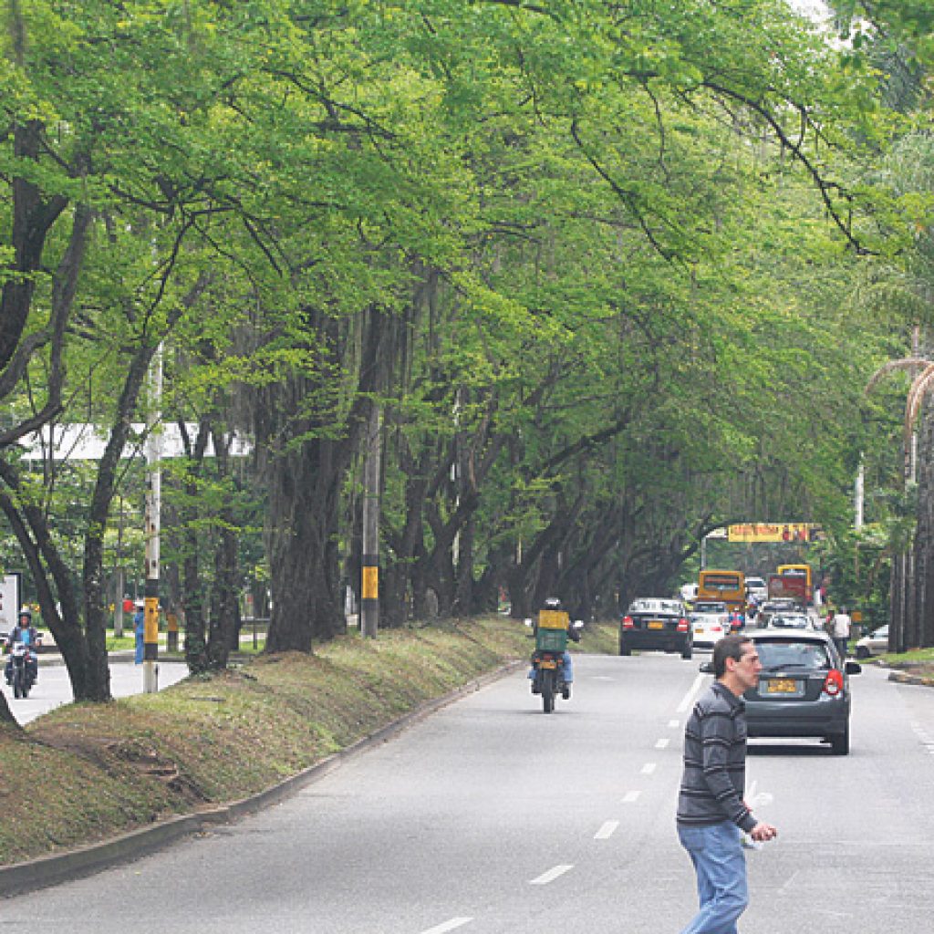colectivo Túnel Verde