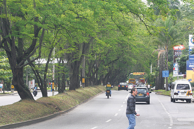 colectivo Túnel Verde