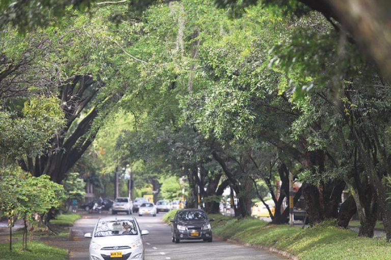 Sentencia Pro Túnel Verde