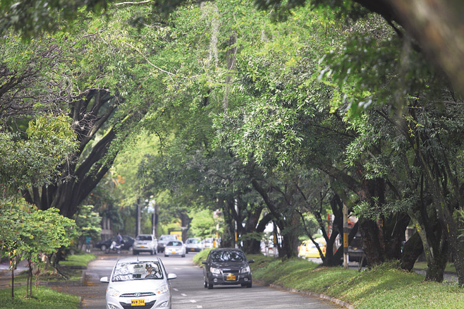 Metroplús Túnel Verde